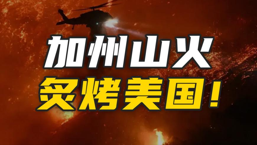 管家婆一肖一码精准资枓,女儿陪妈妈看病被医生看出脑瘤,多元化方案执行策略_粉丝版V8.65