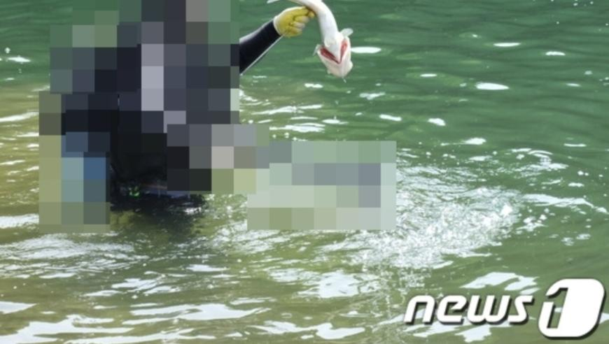 白小姐三码期期准白小姐,哪吒2放映时间预计会延长到6个月,最新正品解答落实_尊享版V13.77