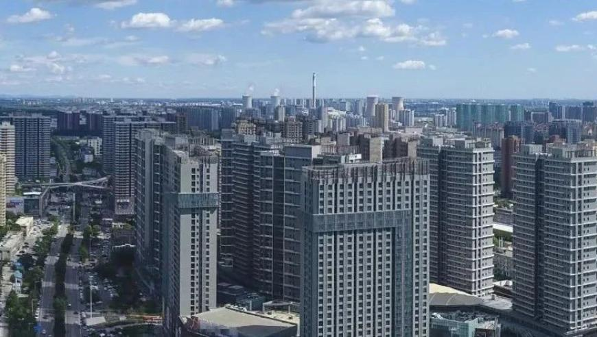 宠物很乖原来是智商问题,香港二四六,社会责任方案执行_iPadV7.29
