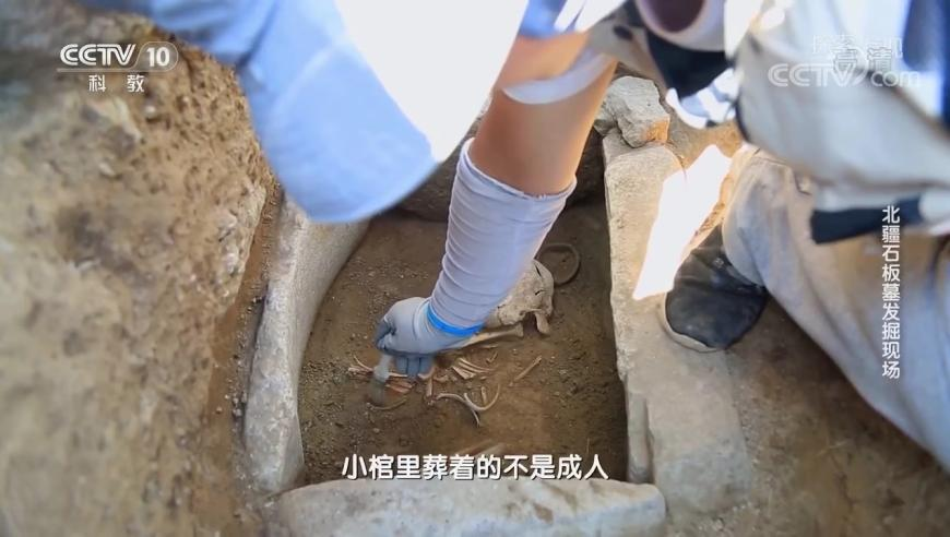 机械工业发挥经济引擎作用,澳门六合天天彩资料免费公开,广泛的解释落实支持计划_升级版V2.91