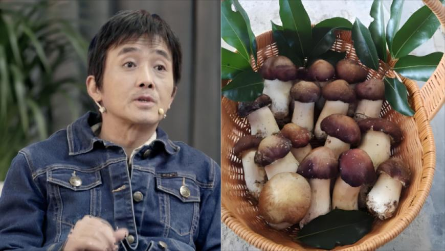 哪吒2凭啥破票房纪录,2025澳门资料免费大全下载,典故解疑_破例版V11.7