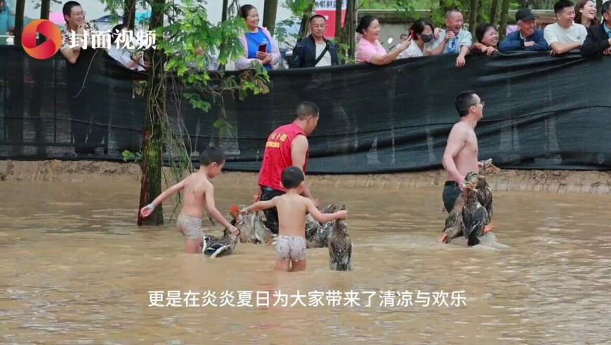 2025年澳门一肖一码100准第47期,谭乔离职与奔驰女车主有关？谣言,收益成语分析落实_AR版V3.25